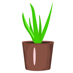 Houseplant in a pot. Aloe. Isolated vector image on a white background