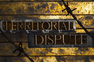 Territorial Dispute text formed with real authentic typeset letters on vintage textured silver grunge copper and gold background