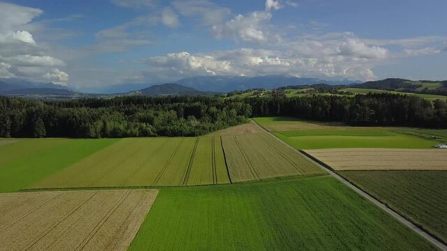Vue a&eacute;rienne en drone au-dessus de la campagne ensoleill&eacute;e et de ses champs dans le canton de Vaud en Suisse romande la vue a&eacute;rienne est calme avec un vol en crabe &agrave; basse altitude vers la gauche