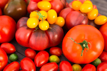 different varieties of ripe red and yellow appetizing tomatoes