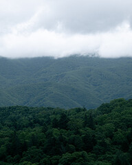 積丹半島の雲と森林（Shakotan Peninsula clouds and forests）