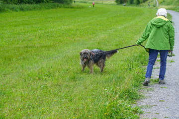 Tierliebe Frau geht mit Tierheimhund Teddy Gassi