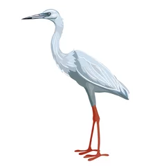 Zelfklevend Fotobehang Reiger ooievaarsvogel in blauw met rode poten in een natuurlijke stijl, geïsoleerd object op een witte achtergrond, vectorillustratie,