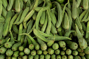 Snake Gourd