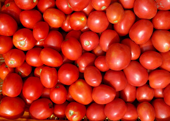 tomatoes on market stall