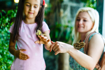 Little girl holding a butterfly in a field