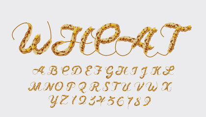 Wheat style font design, alphabet letters and numbers, AI CS6 vector.