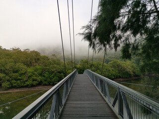 Early morning foggy view of suspension footbridge over Cowan creek, Bobbin Head, Ku-ring-gai Chase...