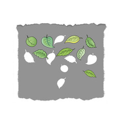 Naklejka premium leaf leaves in gray background