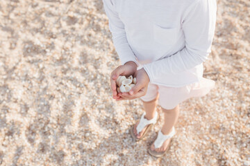 Little cute girl searching seashells on the sea beach