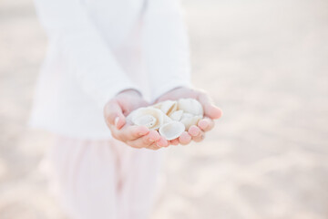 Little cute girl searching seashells on the sea beach