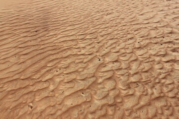 Hot and arid desert sand dunes terrain in Sharjah emirate in the United Arab Emirates. The oil-rich UAE receives less than 4 inches of rainfall a year and relies on water from desalination plants.