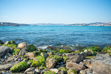 the algae in front of the sea. sandstones with moss on the beach. Istanbul Bosphorus View. green with moss covering the rocks. A seascape with moss covered rock.