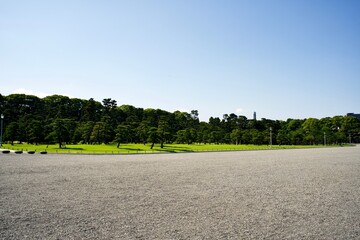 Gravel square and pine trees in Tokyo. - Powered by Adobe