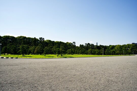 Gravel square and pine trees in Tokyo.
