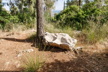 A large stone with a carved seat in the Totem park in the forest near the villages of Har Adar and Abu Ghosh