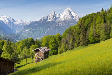 Summer mountain scenery in the Alps with blooming meadows and traditional mountain cabin