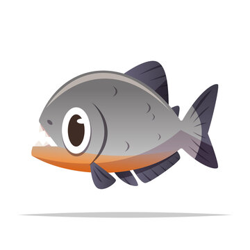 Cartoon piranha fish vector isolated illustration