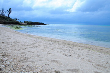青い海のある砂浜