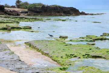 海と砂浜