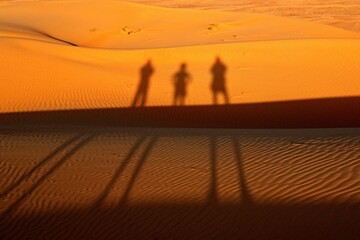 A view of the Wahiba Sands Desert. It has an area of 12,500 square kilometers, located in the northeastern part of the Arabian Peninsula. The sand dunes reach a height of 100 meters. Oman. Asia.