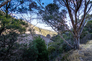 Mountainous landscape in the Grampians National Park in Victoria, Australia.