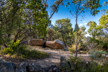 Fototapeta na wymiar Mountainous landscape in the Grampians National Park in Victoria, Australia.