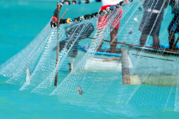 Net fishing in Rodrigues island. Opening of the fishing season on the first of March 2017