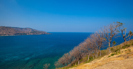 Obraz premium view of the coast of the sea