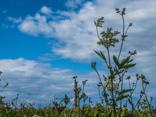 FOOTPATH BY THE CANAL IN NORTHAMPTON