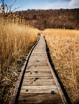 Pathway through the Appalachian trail in Autumn, New York 
