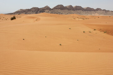 Hot and arid desert sand dunes terrain in Sharjah emirate in the United Arab Emirates. The oil-rich...