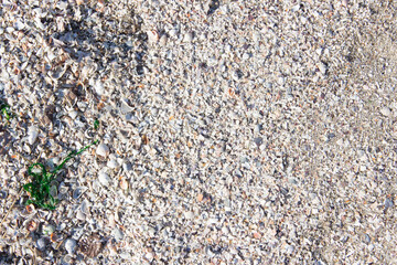 River sand background with copy space