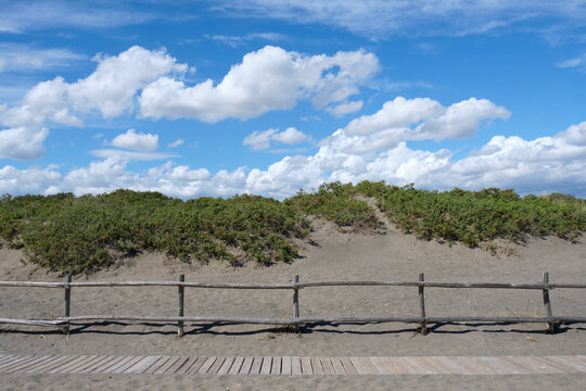 Mediterranean bush on a beach, beyond a wooden fence with a catwalk on the sand to walk along the shore, on a beautiful sunny day with a blue sky with scattered white clouds. 