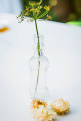 Composition of flowers and bottles in nature. Accessories and decor handmade in rustic style.