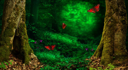 Fairytale forest. Fantasy summer landscape. Green blurry background, mossy old trees, wild flowers, flying butterflies
