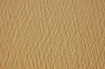 Sand beach texture formed by water flow
