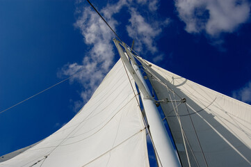 White yacht sail on blue sky background