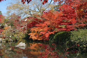 紅葉の秋