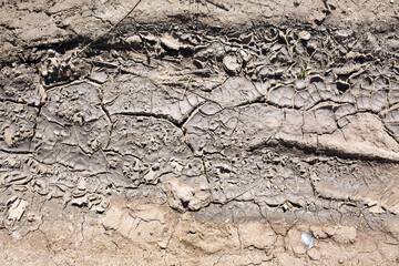 cracked soil ground ,desert cracks, Dry soil Arid,drought land. Caused by global warming and deforestation.