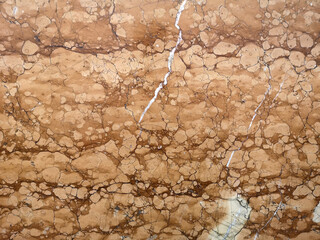 very old and rare under water shell surface marble stone