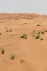 Hot and arid desert sand dunes terrain in Sharjah emirate in the United Arab Emirates. The oil-rich UAE receives less than 4 inches of rainfall a year and relies on water from desalination plants.