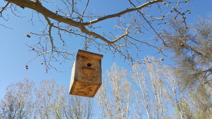 Birdhouse for birds made by man, hanging on a tree.