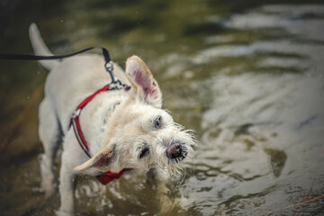 Zabawa w wodzie © wrzesientomek