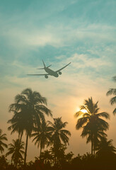 Airplane flying over tropical palm tree at sunset evening. Business airline concept. - 359209275