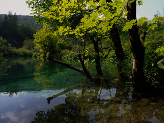 Lake with trees in a Croatian national park