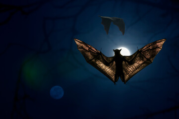 bat and moon