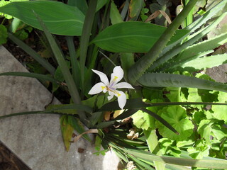 <SAMSUNG DIGITAL CAMERA>