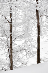 Winter in the Ural mountains