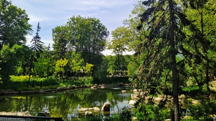 Beautiful garden with pond in city zoo